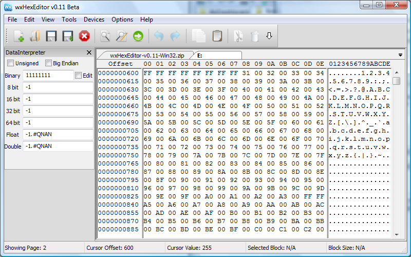 binary file viewer